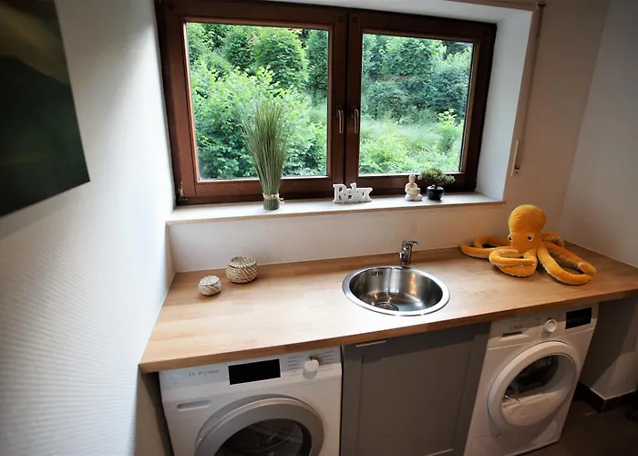 Mill Valley * Koblenz (Rhineland-Palatinate)