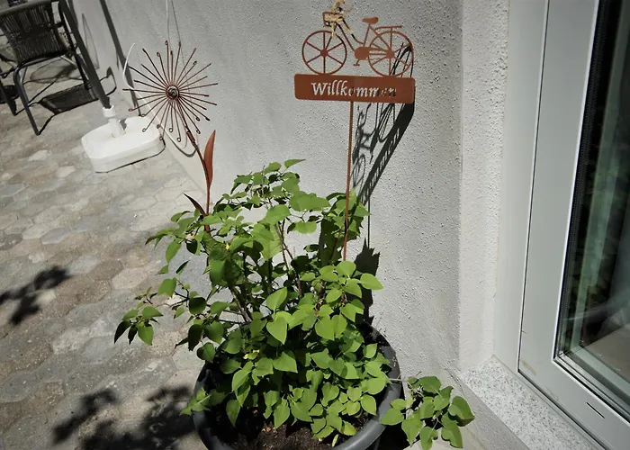 Mill Valley * Koblenz (Rhineland-Palatinate)